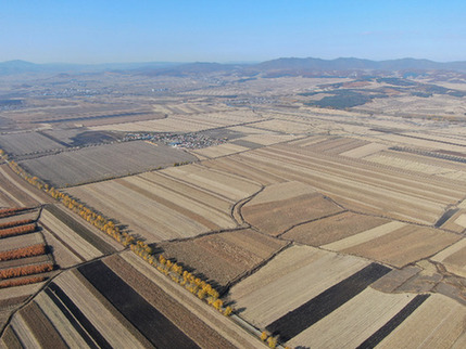 “要建好，更要管好、用好”——高標準農(nóng)田建設(shè)觀察